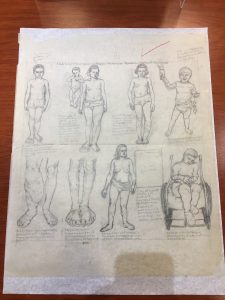 Old anatomical sketches of the human form.